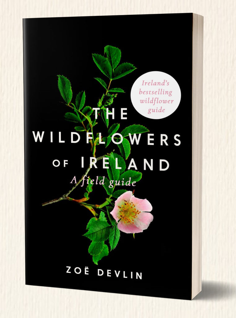 The Wildflowers of Ireland by Zoe Devlin Gill Books