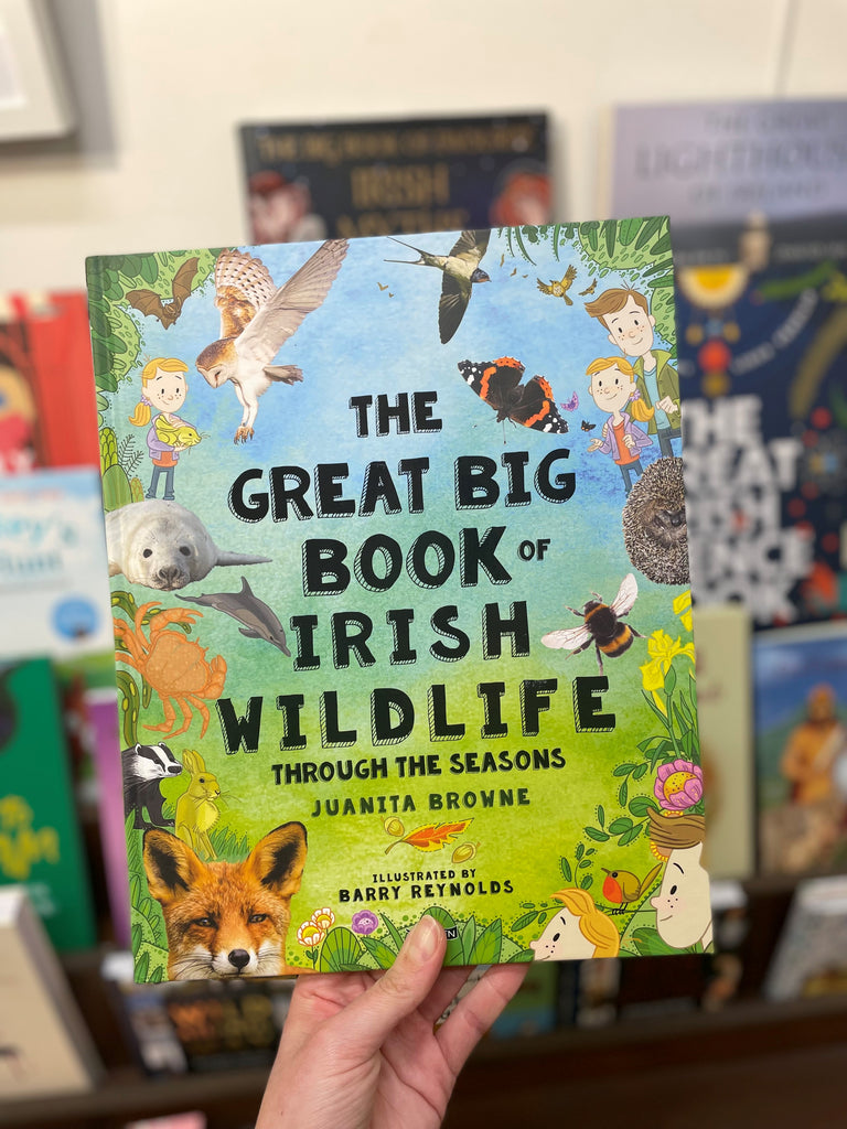 Irish wildlife throughout the seasons book for children
